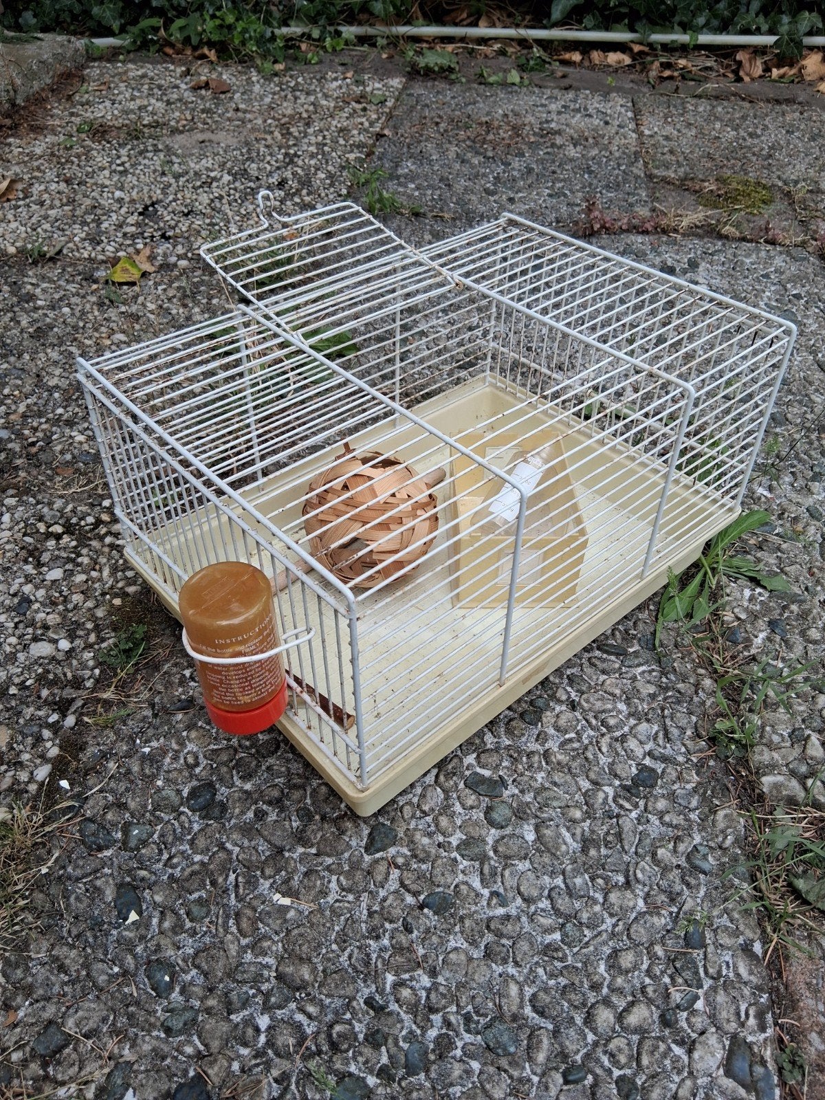 Hamster kooitje, Dieren en Toebehoren, Ophalen, Kunststof, Overige typen