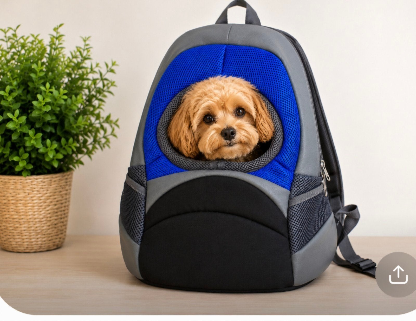 Hondenrugzak / Honden draagtas  Nieuw!!!  maat S, Dieren en Toebehoren, Overige merken, Ophalen of Verzenden, Nieuw, Draagtas/-zak