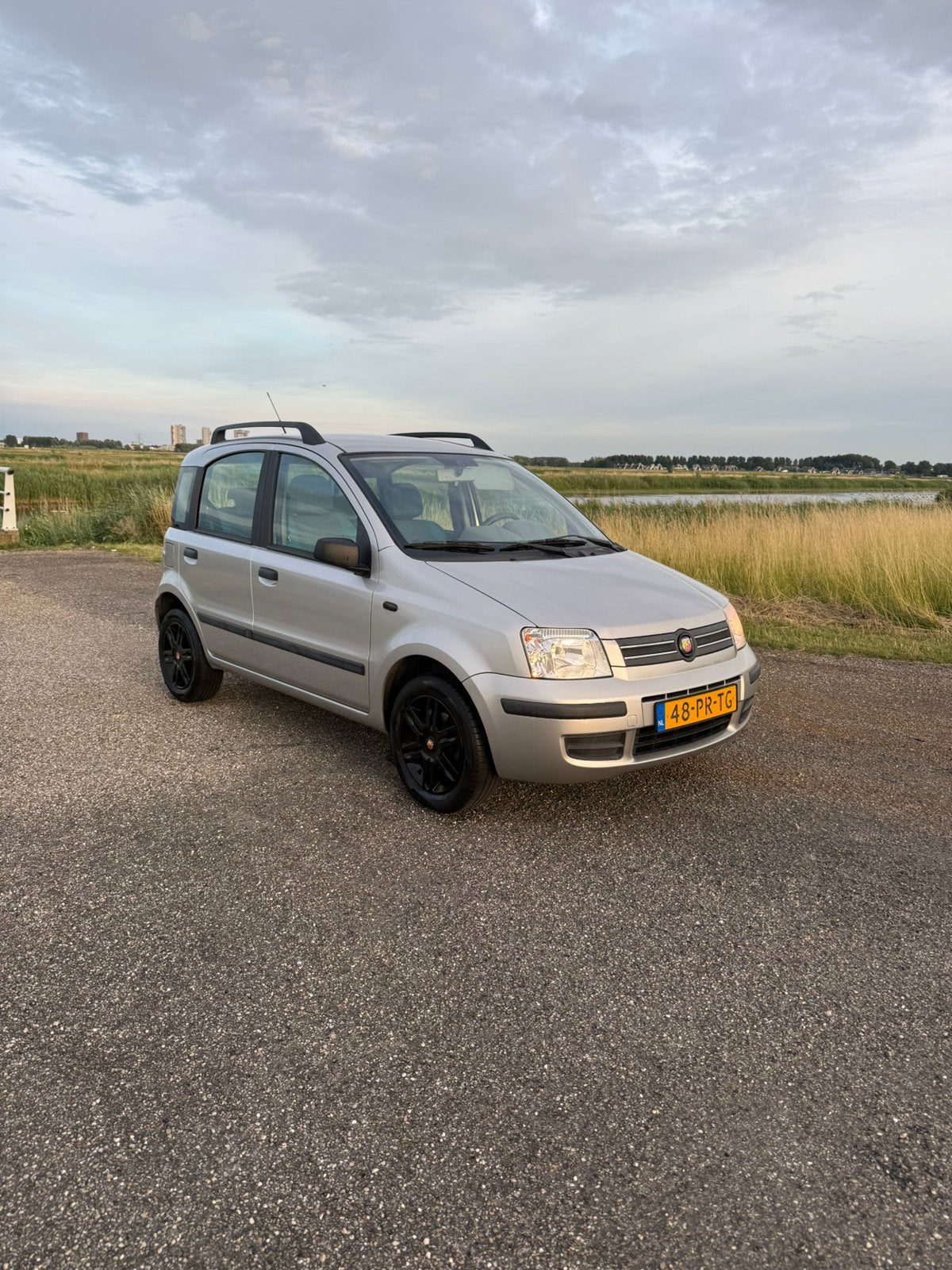 Fiat Panda 1.2 2004 Grijs, Ophalen