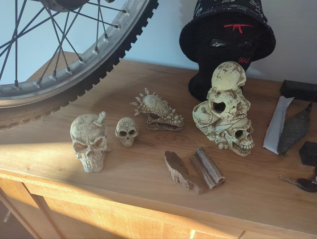 Aquarium decoratie.  Heleboel, Eén persoon