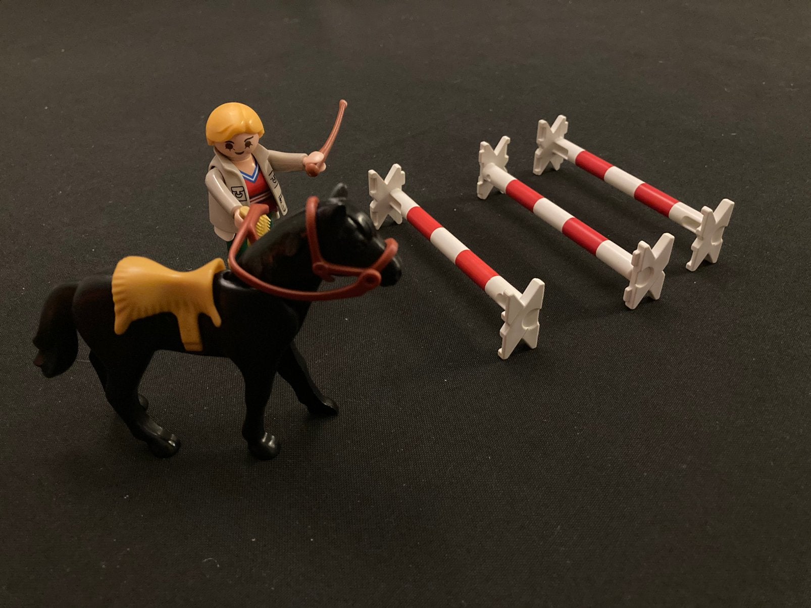 Playmobil paarden dressuur., Ophalen of Verzenden, Zo goed als nieuw