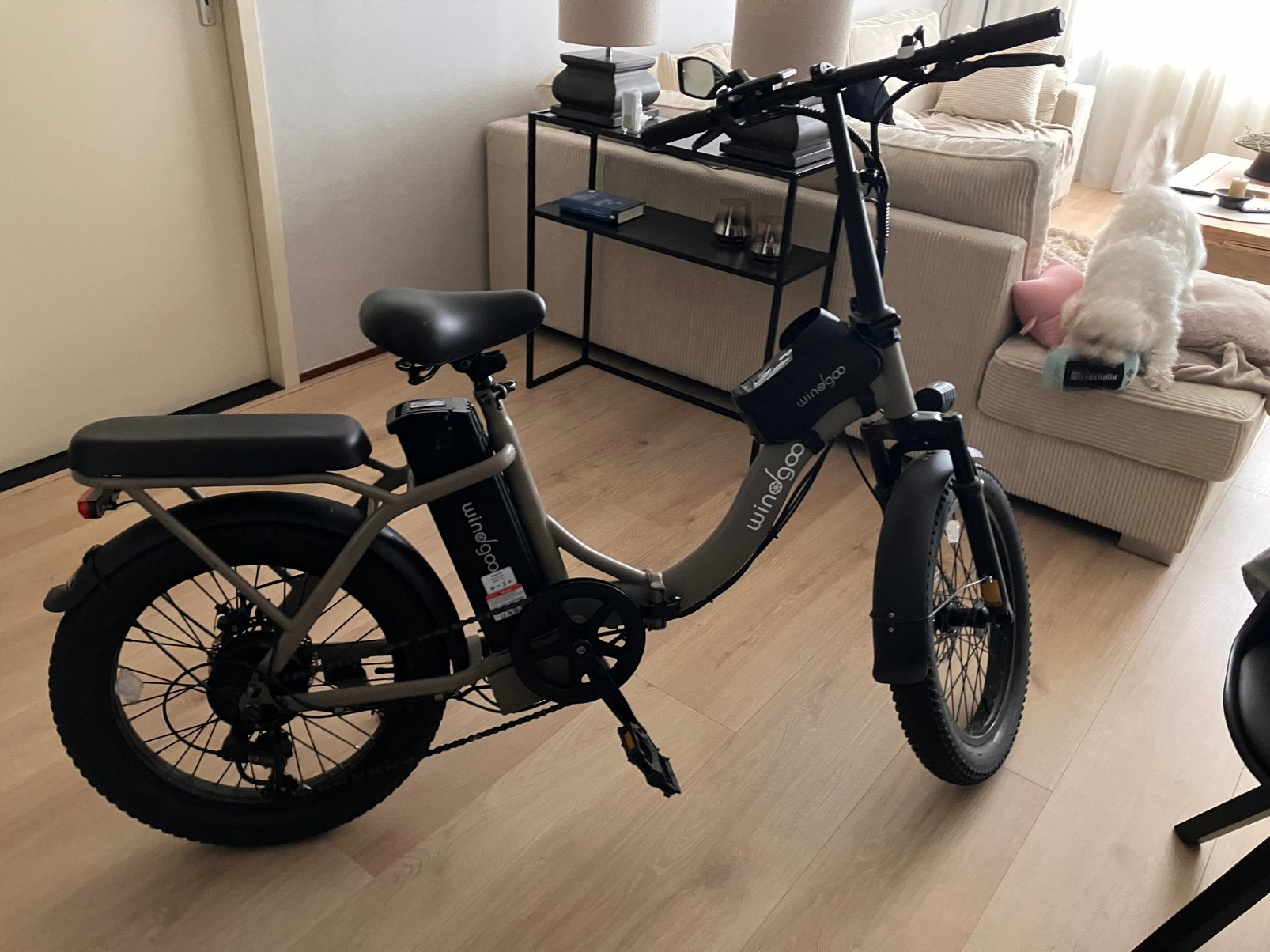 Windgoo e20