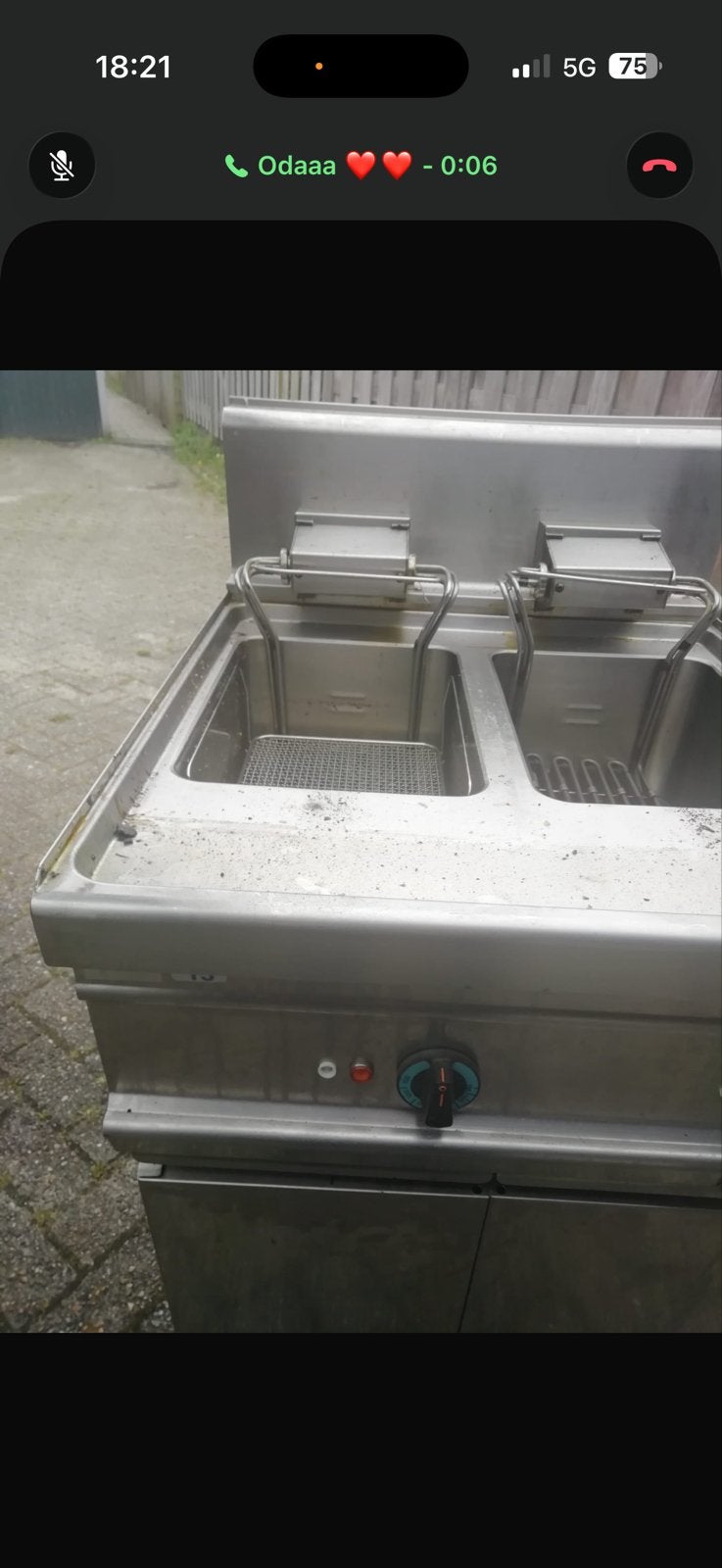 Professionele dubbele friteuse RVS, 4 liter of meer, Ophalen of Verzenden, Gebruikt, Duo-friteuse