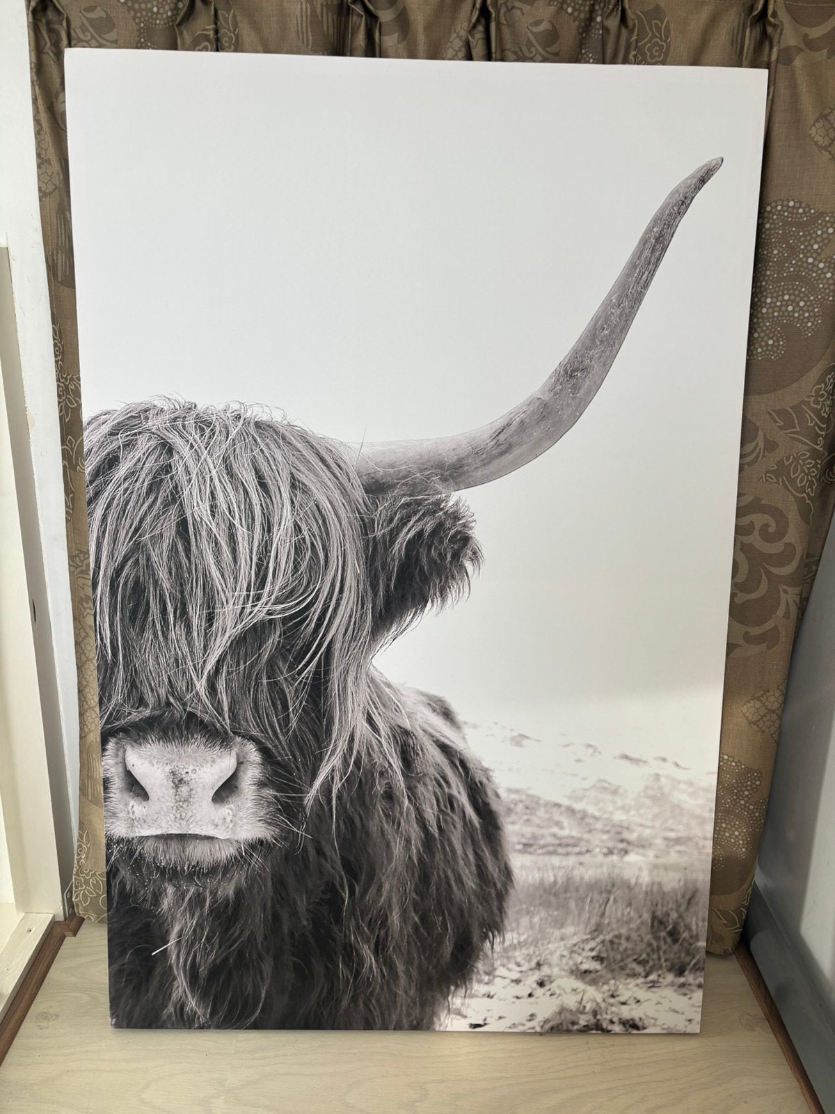Schotse hooglander zwart wit 115 x 75 cm, Ophalen, Zo goed als nieuw, Schilderij
