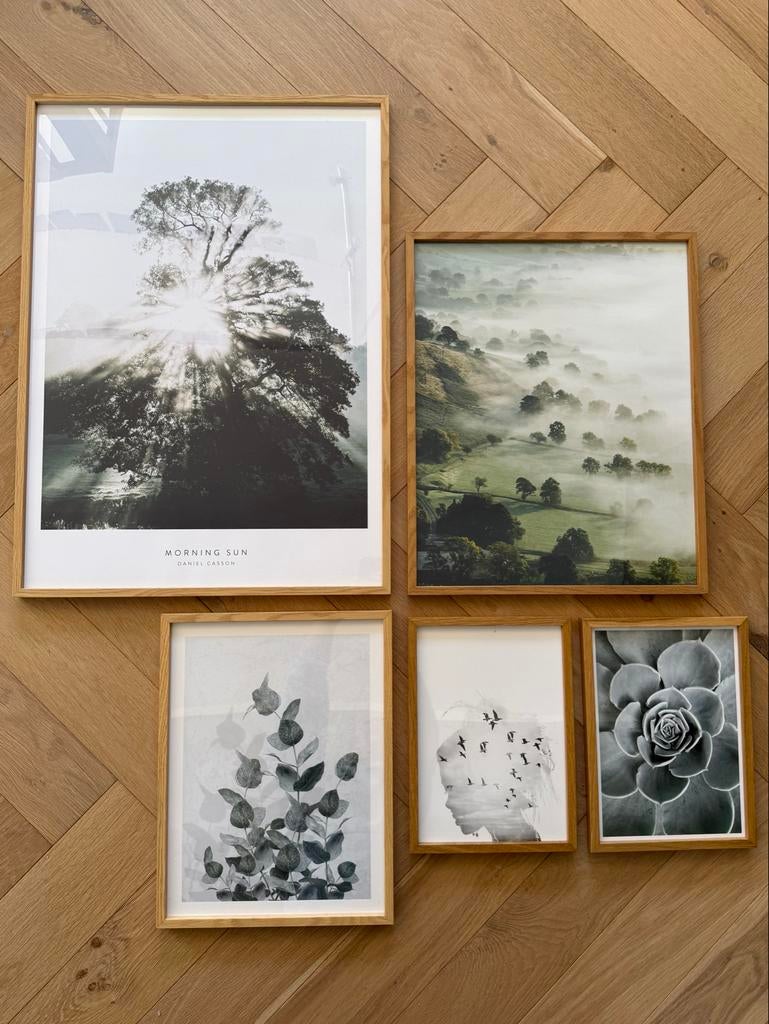 Set van 5 fotolijsten in diverse maten, Ophalen, Zo goed als nieuw