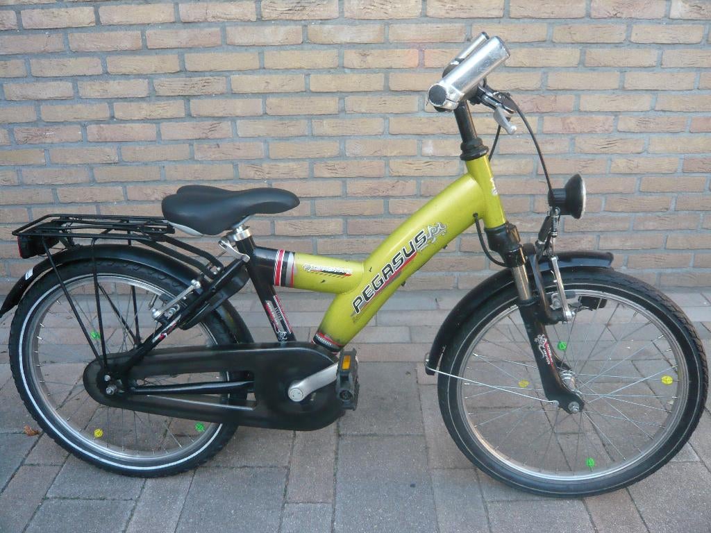 Tk mooie pegassus youngster 20inch, Ophalen, Gebruikt, 20 inch of meer