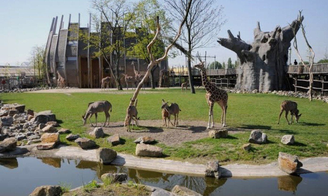 tickets blijdorp €20,-, Drie personen of meer, Ticket of Toegangskaart