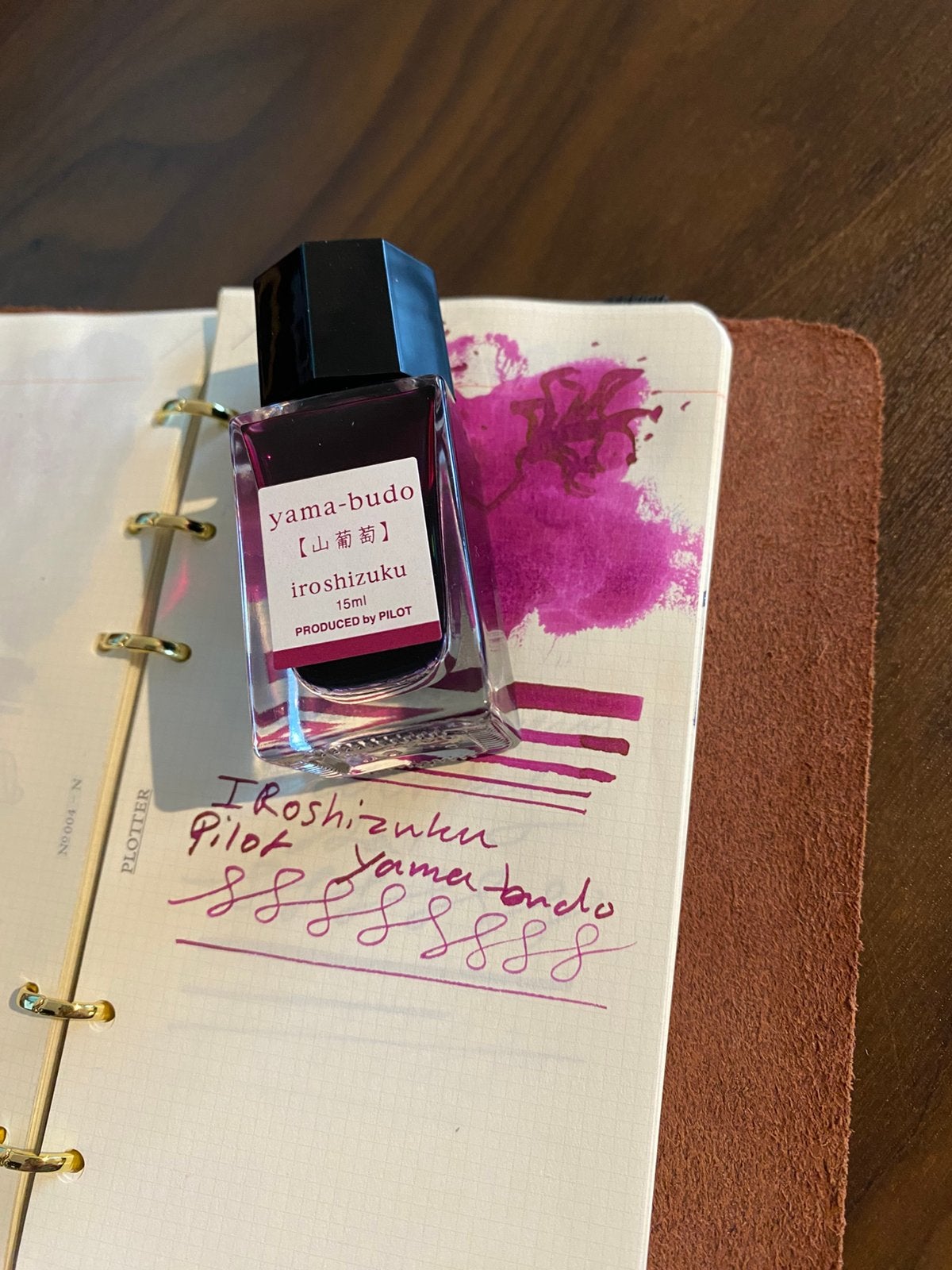 Pilot Iroshizuku vulpen inkt yama-budo, Ophalen of Verzenden, Zo goed als nieuw