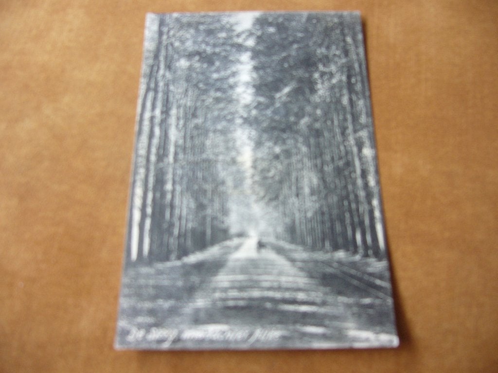 DE STEEG  =  MIDDACHTER ALLEE  1909, Ophalen of Verzenden, Voor 1920, Gelopen, Gelderland