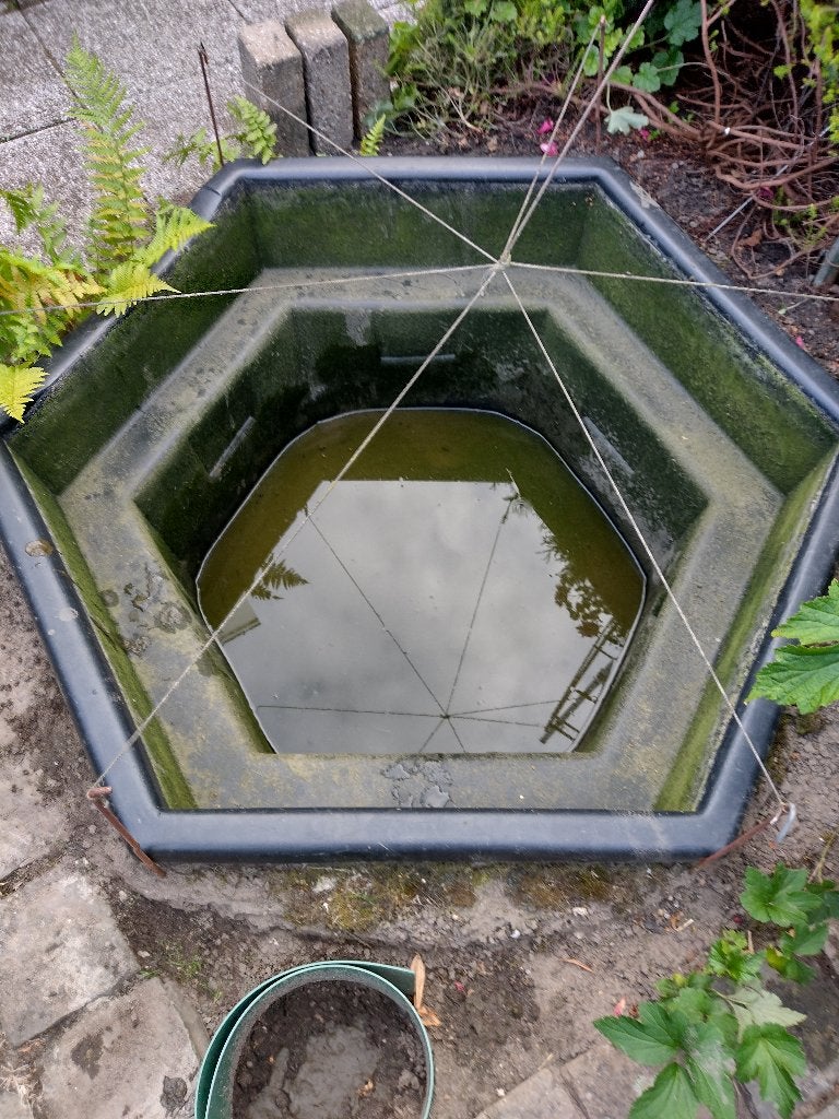 vijverbak, Tuin en Terras, Vijvers, Ophalen, Gebruikt