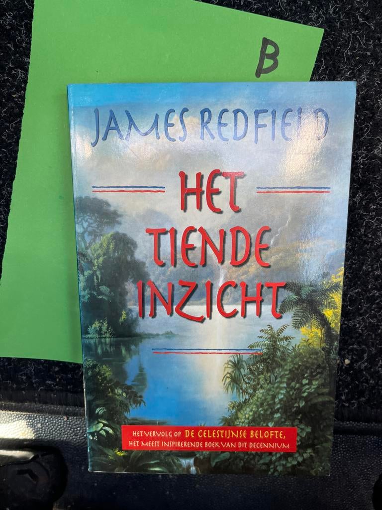 Het Tiende Inzicht - James Redfield (Vervolg Celestine), Ophalen of Verzenden, Zo goed als nieuw, Nederland