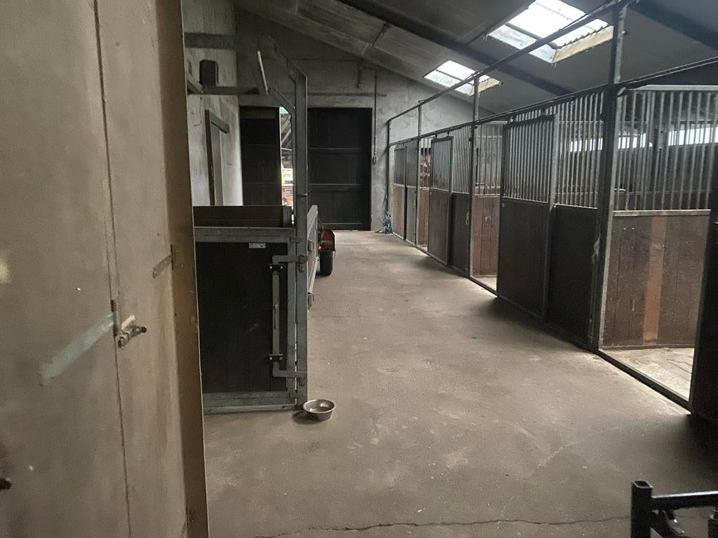 Paardenstallen te huur