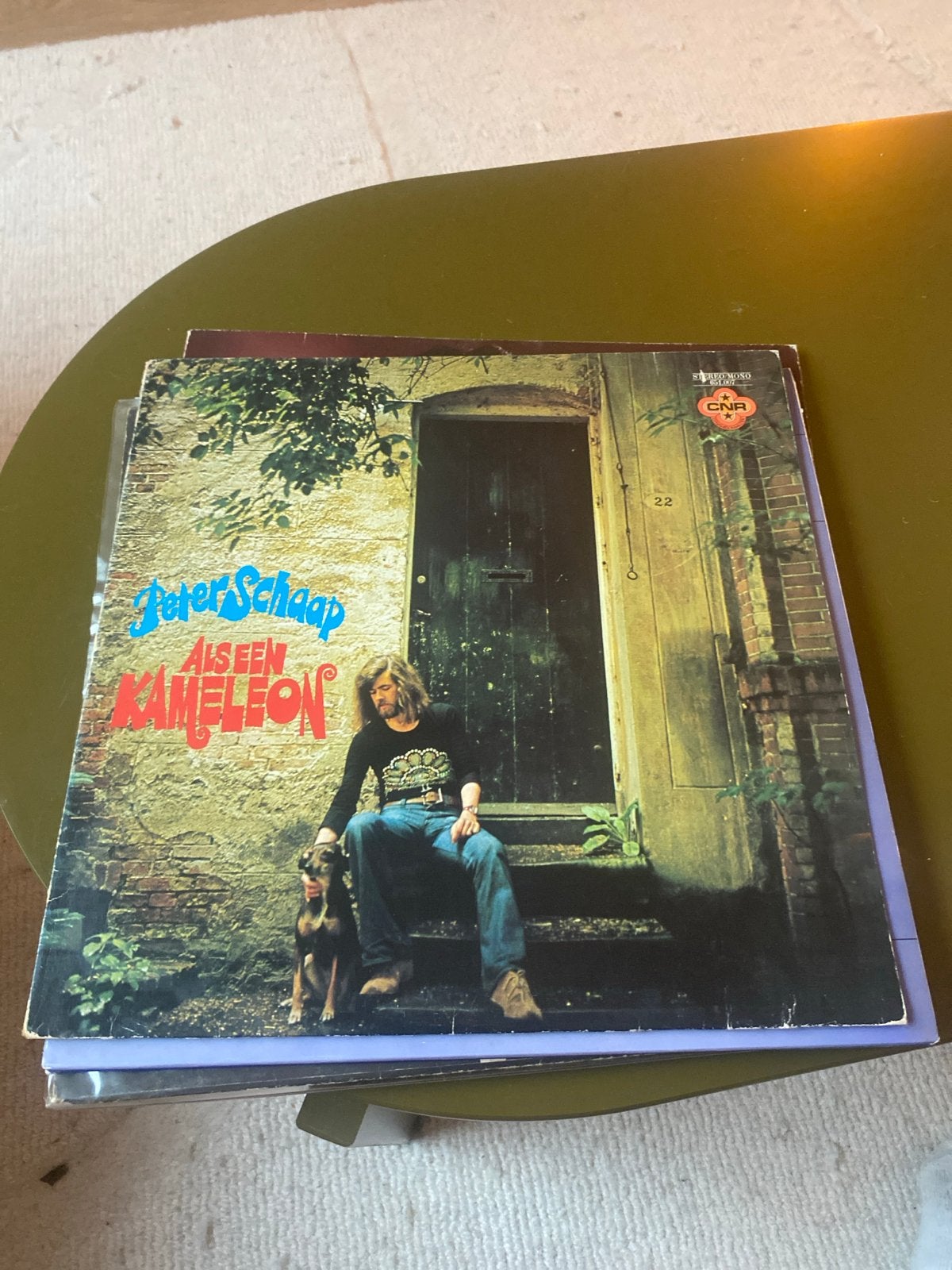 Peter Schaap - Als Een Kameleon LP (1974), LP, Gebruikt, Ophalen of Verzenden, 12 inch