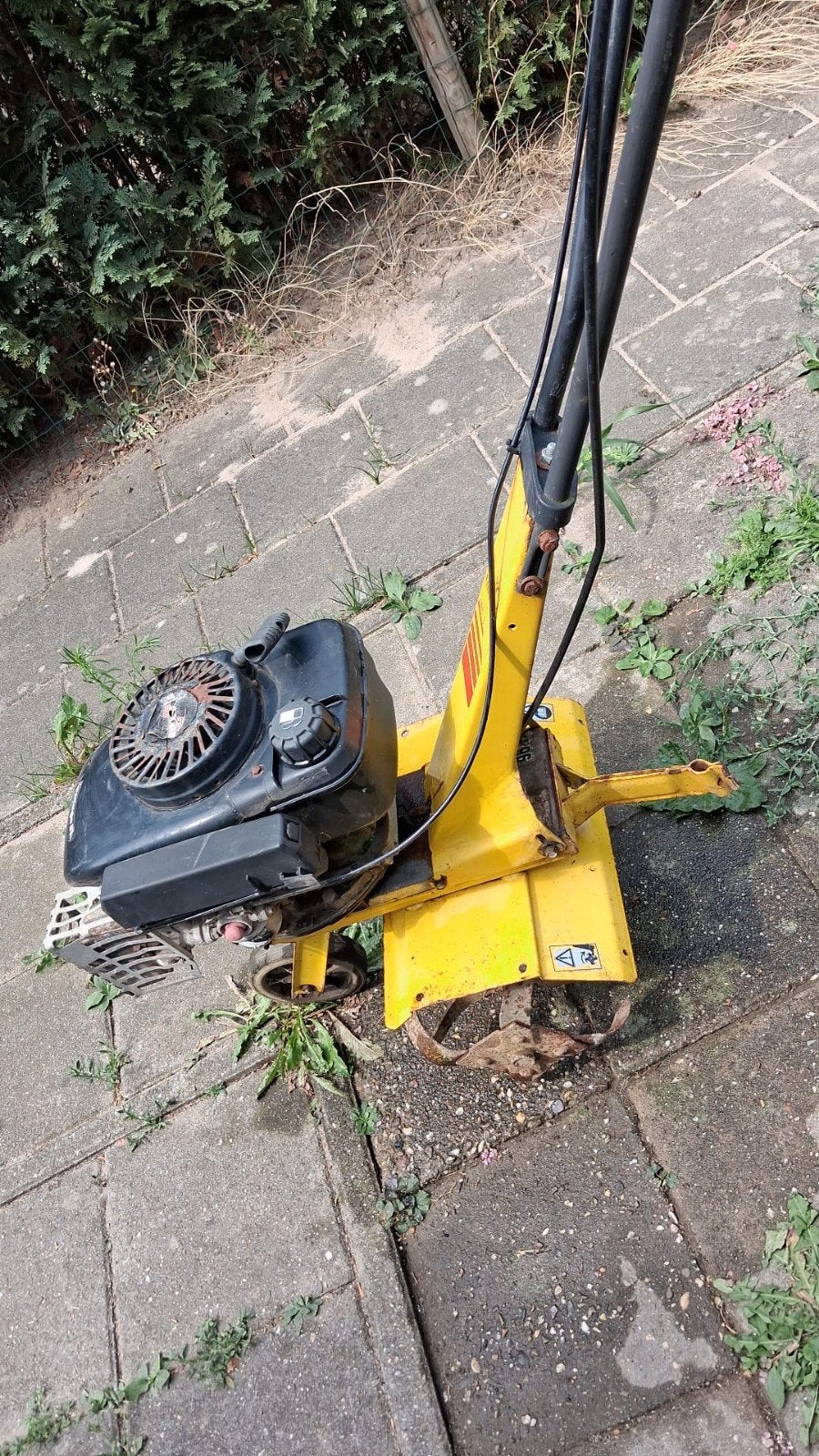 te koop tuinfrees frees freesje, Ophalen of Verzenden, Gebruikt