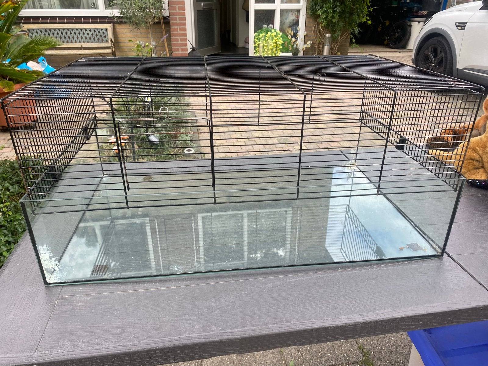 Glazen hamster/cavia kooi, Dieren en Toebehoren, Ophalen of Verzenden