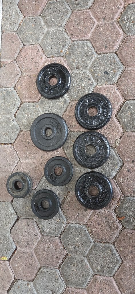 Halterschijven voor dumbells, Sport en Fitness, Ophalen, Gebruikt, Halterschijven