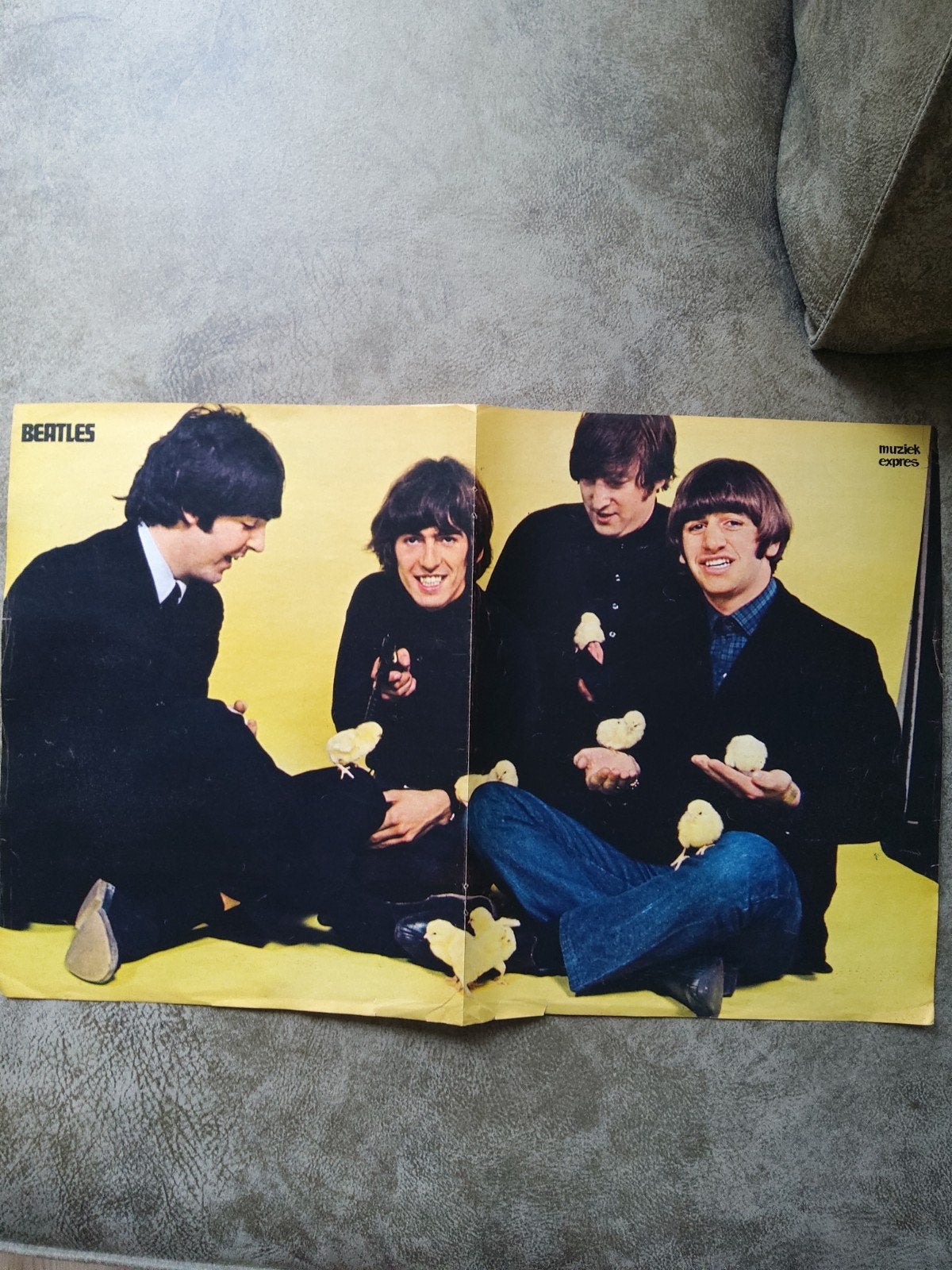 The Beatles, Ophalen of Verzenden, Muziek