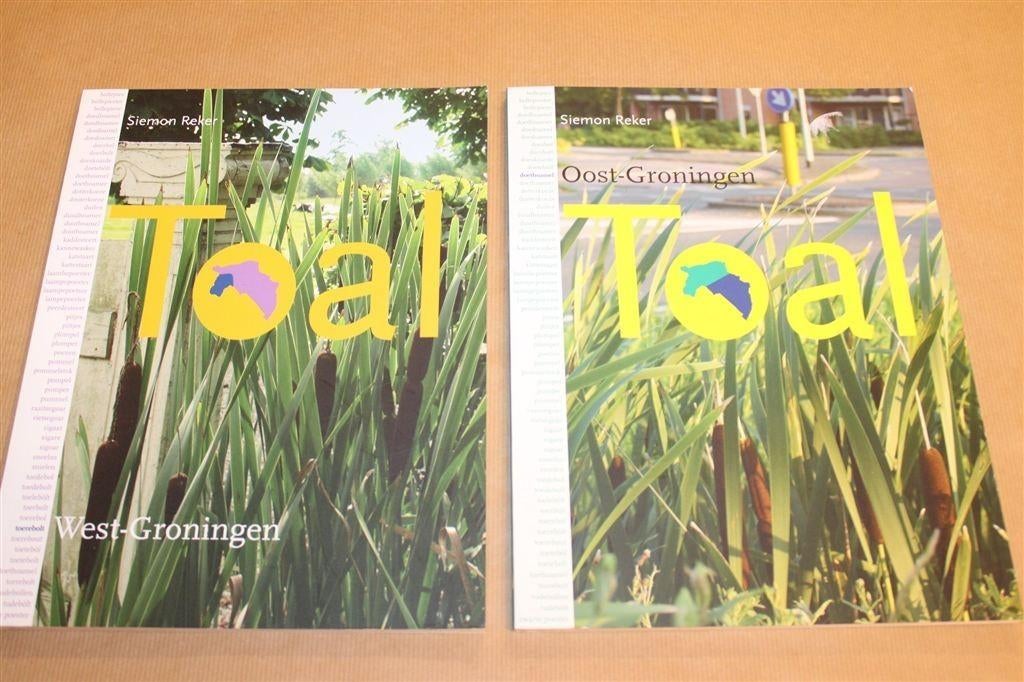 Toal – Cursusboek Gronings In 10 Lessen [2 Dln], Ophalen of Verzenden, Zo goed als nieuw