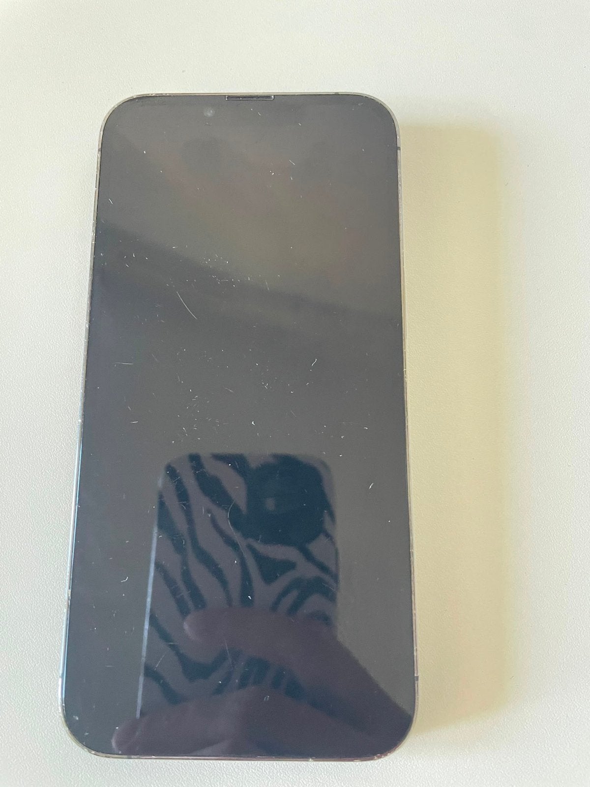 iPhone 13 Pro 256GB - Gebarsten achterkant, Gebruikt, IPhone 13 Pro Max, Zonder simlock, Grijs