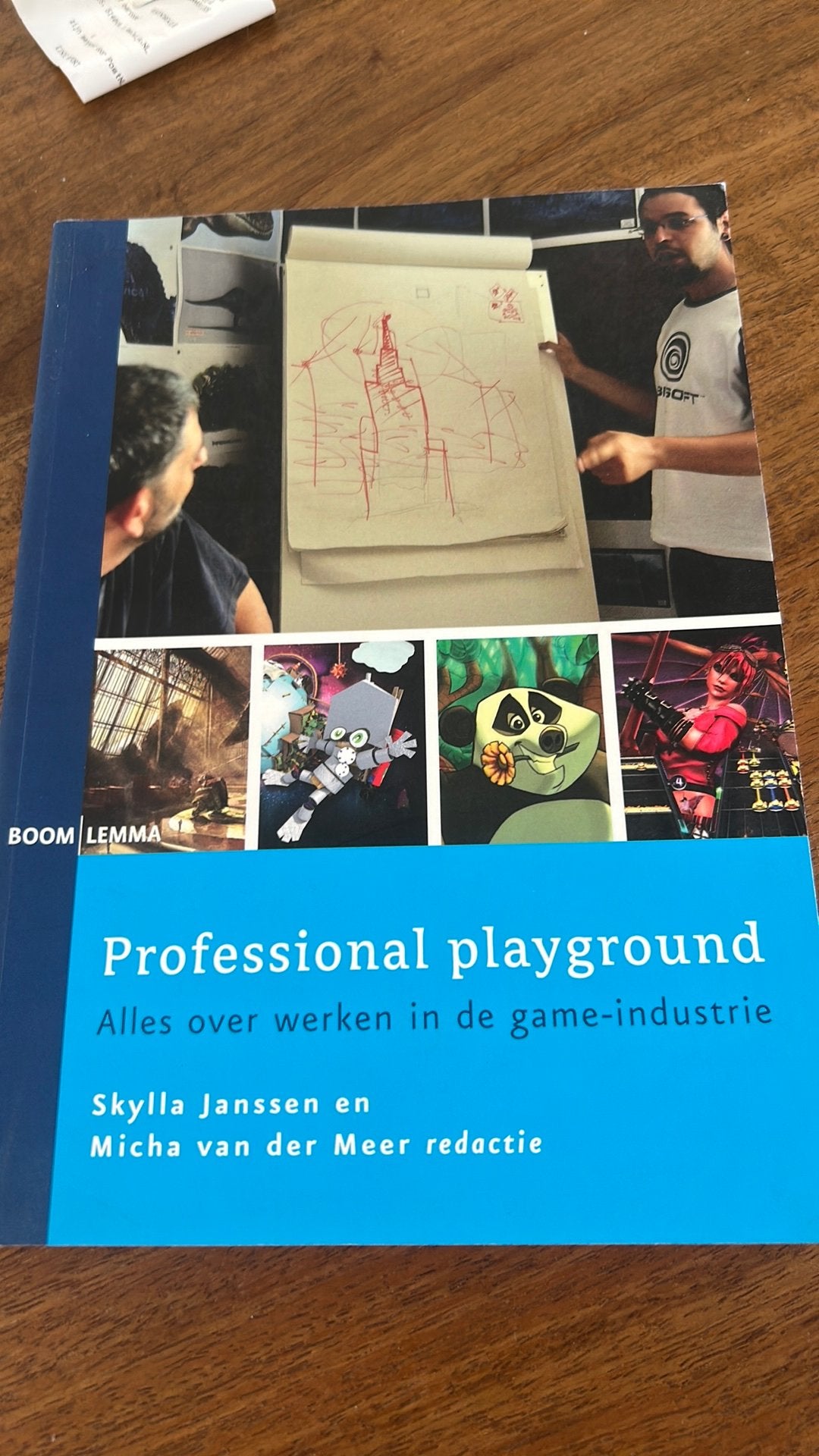 Professional playground - werken in de game-industrie, Ophalen of Verzenden, Zo goed als nieuw, Overige niveaus, Nederlands