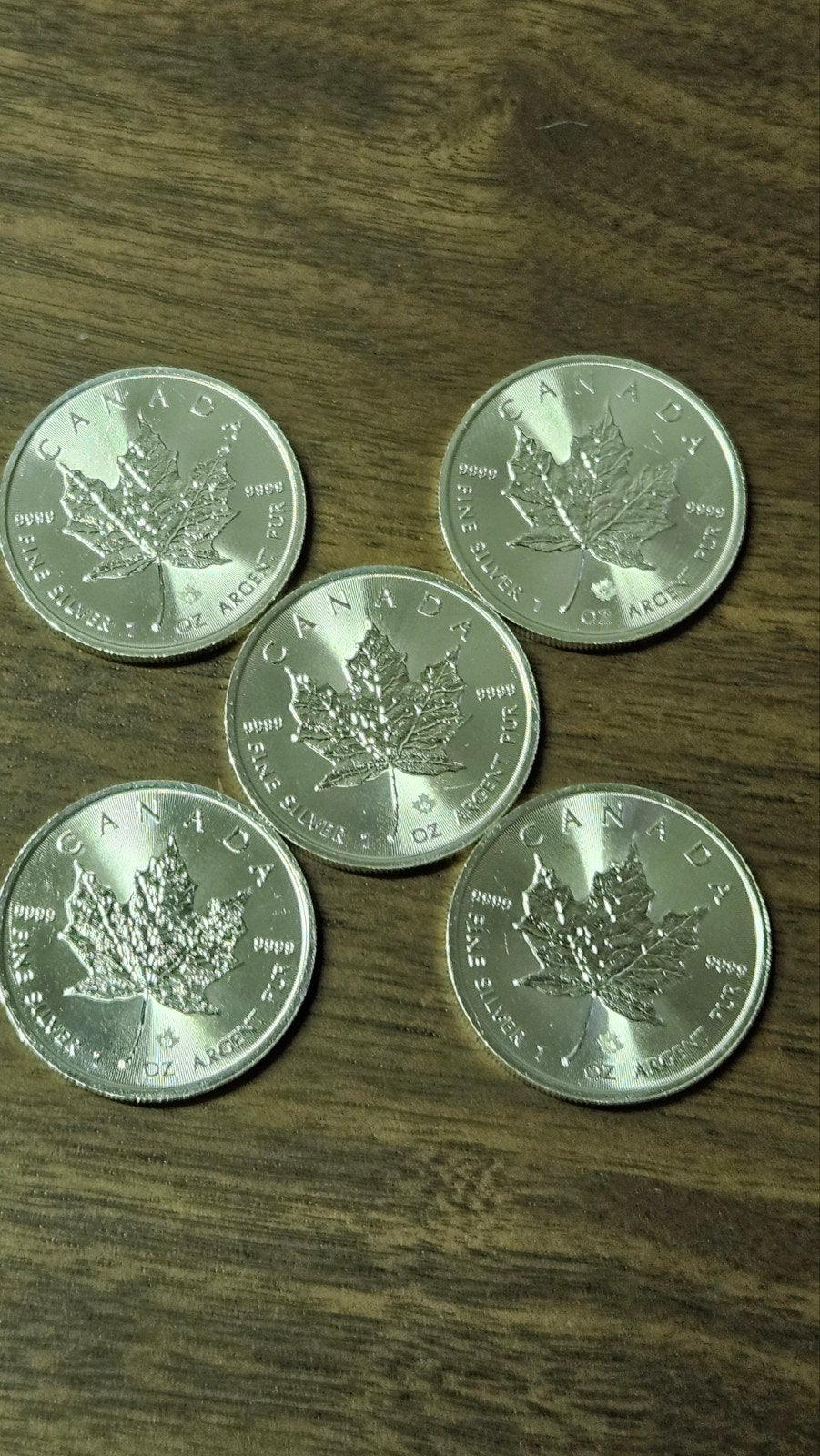 5 x 1 ounce maple leaf 2021, Ophalen of Verzenden, Zilver