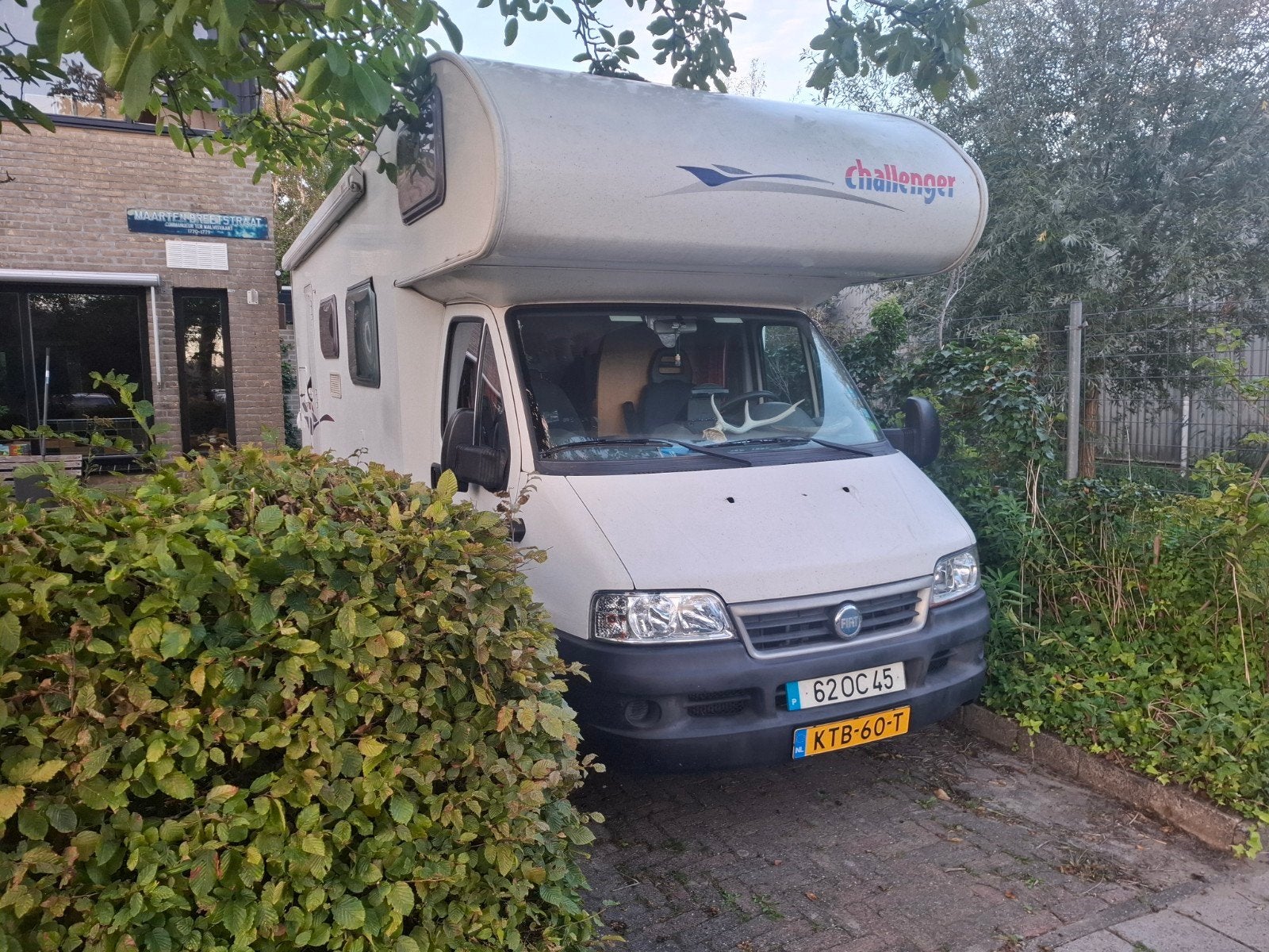Challenger Alkoof Camper - portugal eventueel, Alkoof, Fiat, Challenger, Particulier