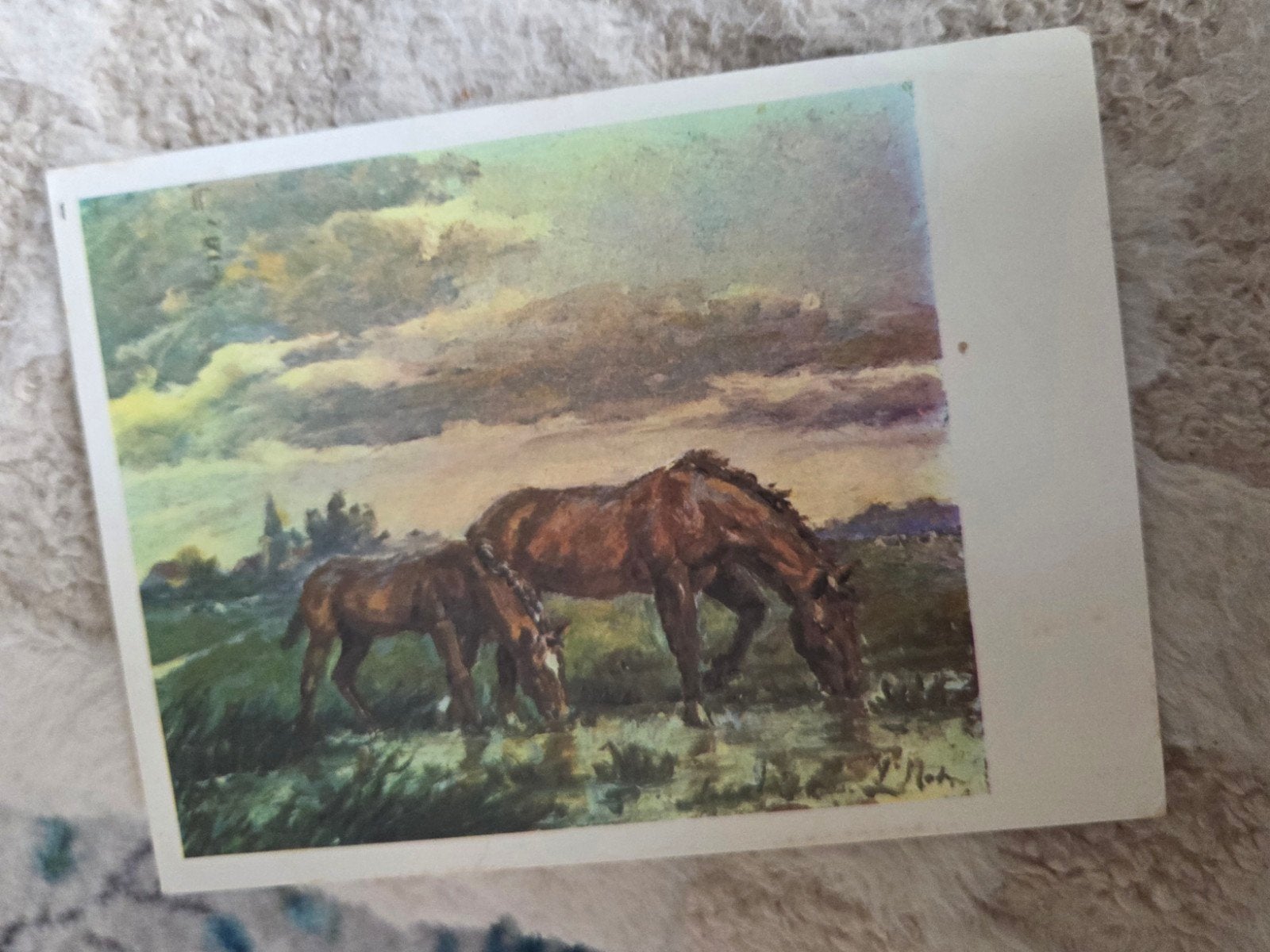 Paarden in landschap -  P. Moleveld, Verzamelen, Verzenden, 1940 tot 1960, Gelopen, Overige thema's