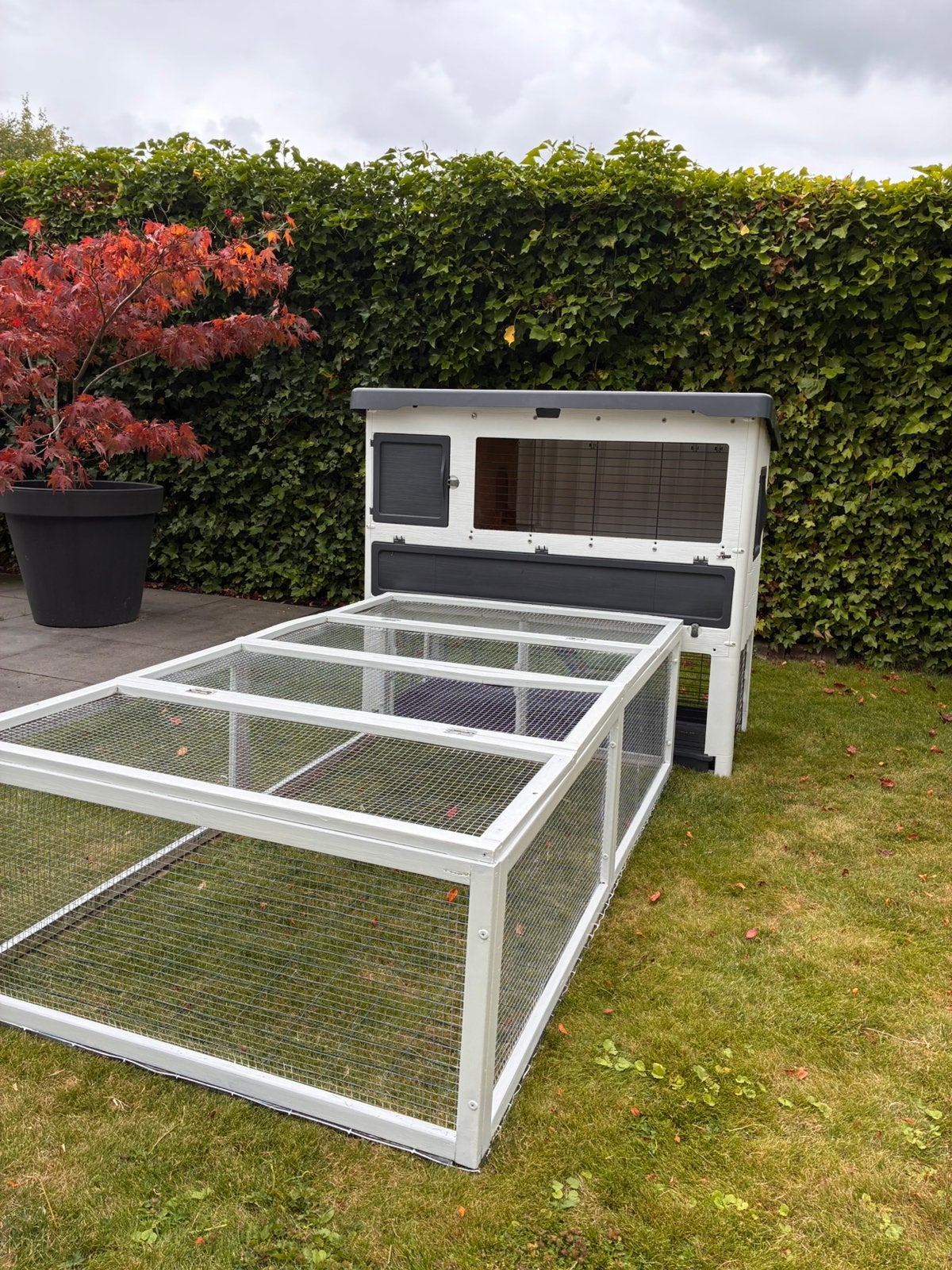 Konijnenhok + ren + toebehoren, Dieren en Toebehoren, Knaagdieren en Konijnen | Hokken en Kooien, Ophalen, 110 cm of meer, Zo goed als nieuw