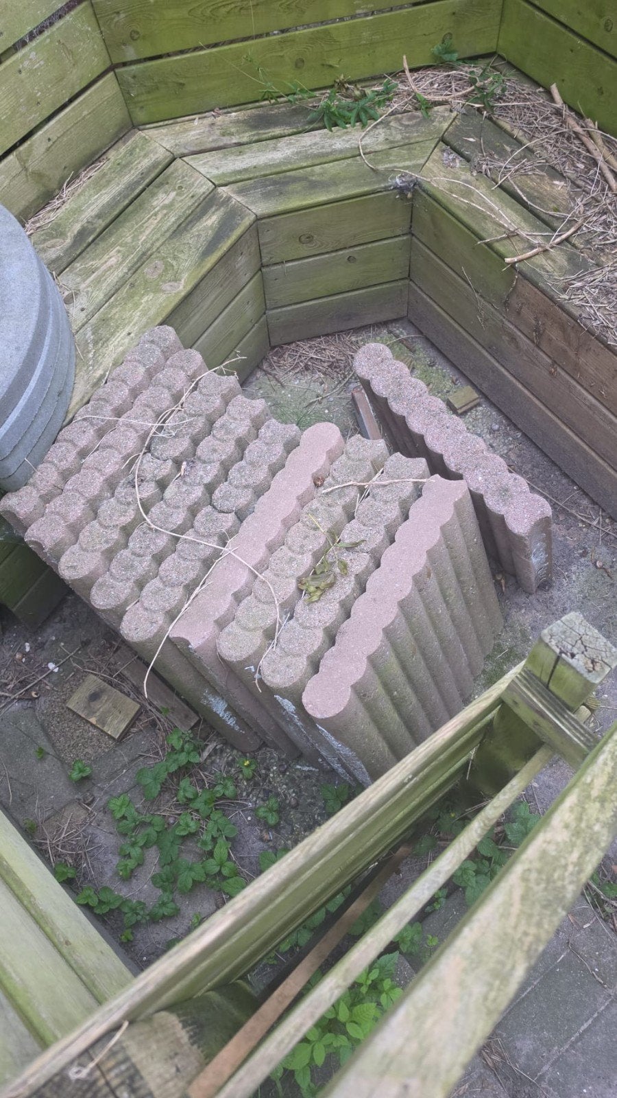 Golf bielzen 50 cm hoog - gratis op te halen, Tuin en Terras, Ophalen, Gebruikt, 25 tot 50 cm, Biels