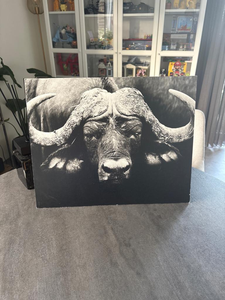 Set van 2 canvas schilderijen: Olifant en Buffel, Antiek en Kunst, Kunst | Tekeningen en Foto's, Ophalen