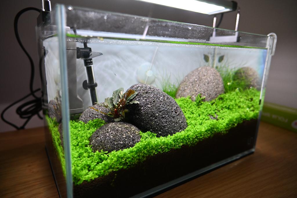 UNS 3N Iwagumi Aquascape – Complete Strakke Nano Scape, Dieren en Toebehoren, Vissen | Aquaria en Toebehoren, Ophalen, Verwarming