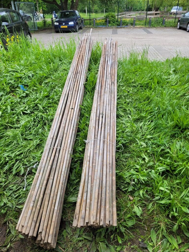 Bamboe stokken voor tuin of decoratie, Tuin en Terras, Palen, Balken en Planken, Ophalen of Verzenden, Gebruikt, 180 tot 250 cm