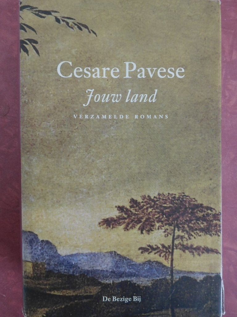 Cesare Pavese  Jouw Land, Boeken, Ophalen of Verzenden, Gelezen