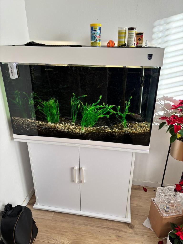 Compleet Trofis Aquarium 400 Liter, Ophalen, Zo goed als nieuw, Gevuld zoetwateraquarium