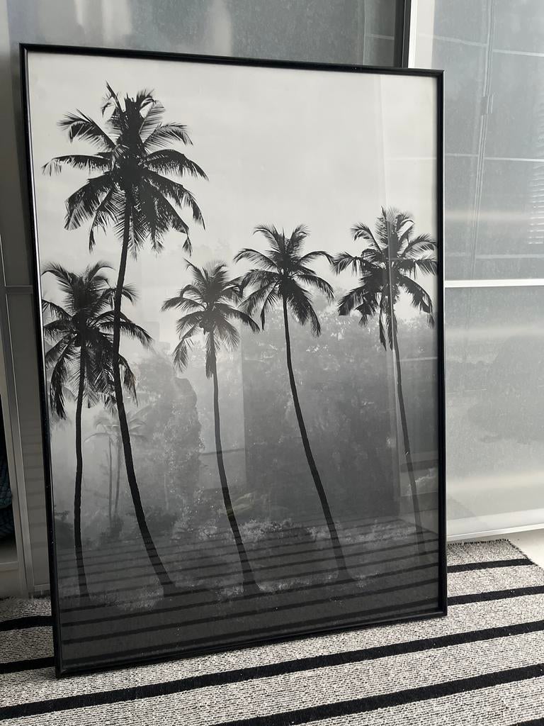 Wissellijst zwart 70x100 cm met palmbomen poster, Ophalen, Kunststof, Zo goed als nieuw, 75 tot 100 cm