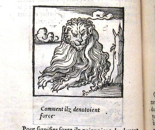 Orus Apollo de Aegypte...Hieroglyphiques des Aegyptiens 1543, Ophalen of Verzenden