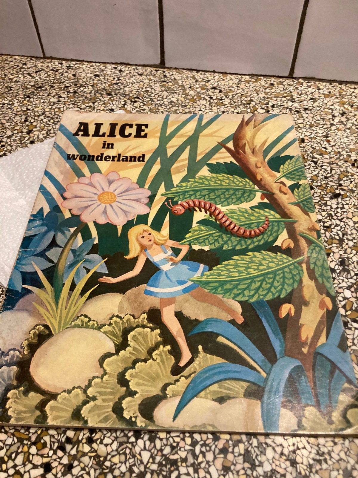 Alice in wonderland, Ophalen of Verzenden, Overige figuren, Zo goed als nieuw
