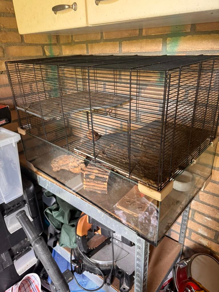 Knaagdieren kooi. Hamster muis rat gerbil, Dieren en Toebehoren, Kooi, Minder dan 75 cm, Zo goed als nieuw, Muis