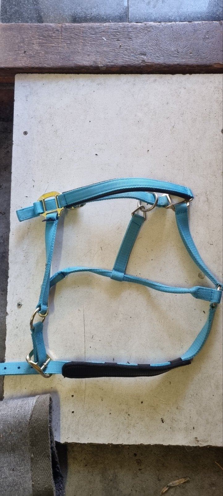 Halster Shires Nylon Topaz Blauw, Ophalen of Verzenden, Nieuw, Overige soorten