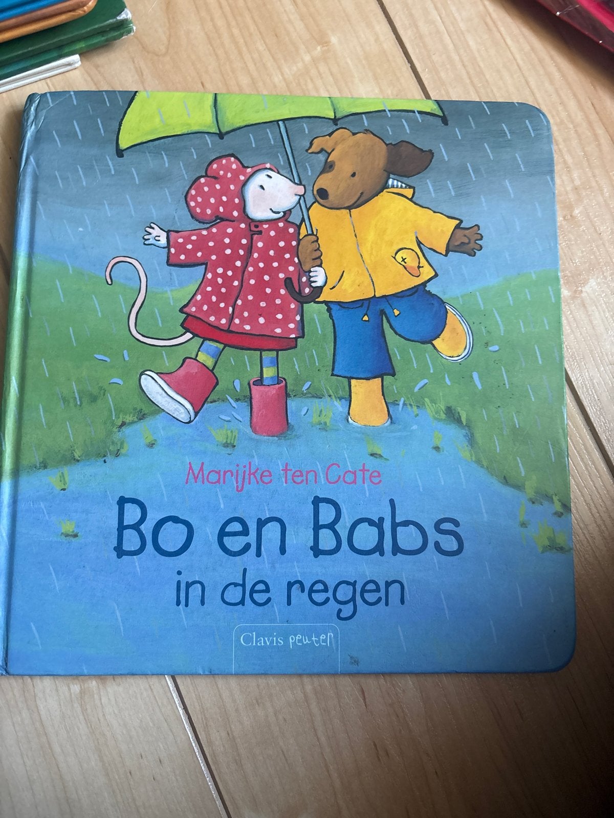 Bo en Babs in de regen - Marijke ten Cate, Boeken, Ophalen of Verzenden, Zo goed als nieuw, 2 tot 3 jaar