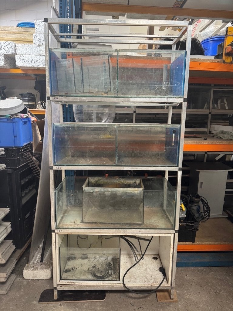 AQUARIUMSTELLING(EN) met aqua's, Ophalen, Zo goed als nieuw, Overige typen, Juwel
