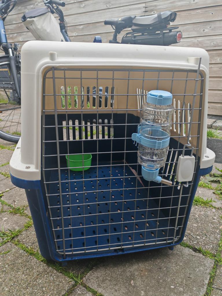 Honden reis box, Ophalen