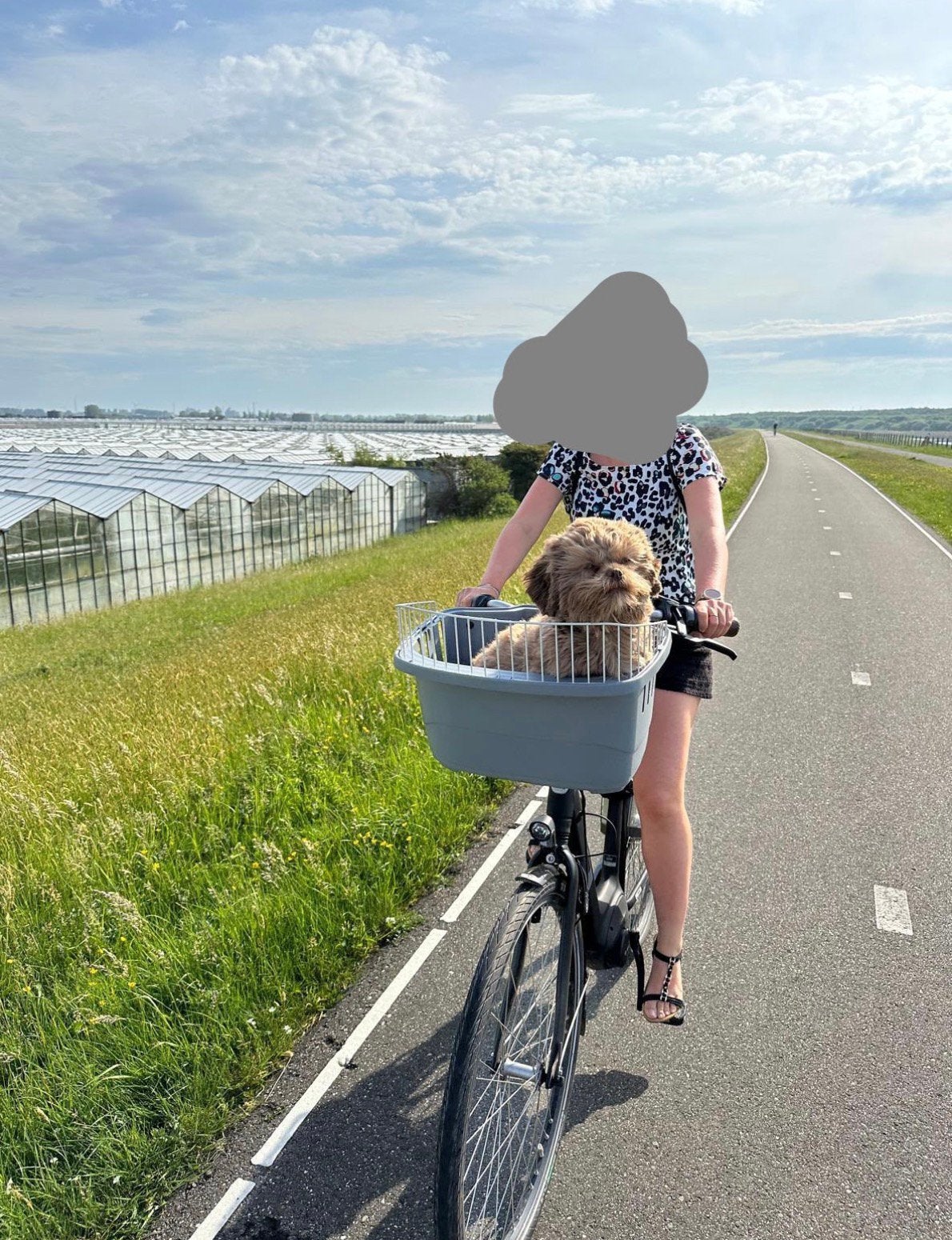 Fastrider hondenfietsmand grijs 16L - Comfortabel & Veilig, Fietsen en Brommers, Ophalen, Zo goed als nieuw, Hondenkar, Minder dan 20 kg