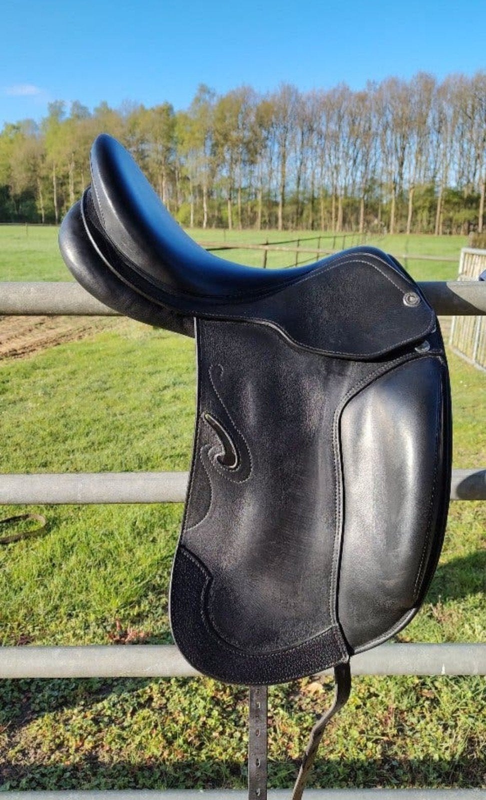 Prachtig Prestige zo goed als nieuw!, Ophalen, L (17.5 inch), Dressuur, Prestige