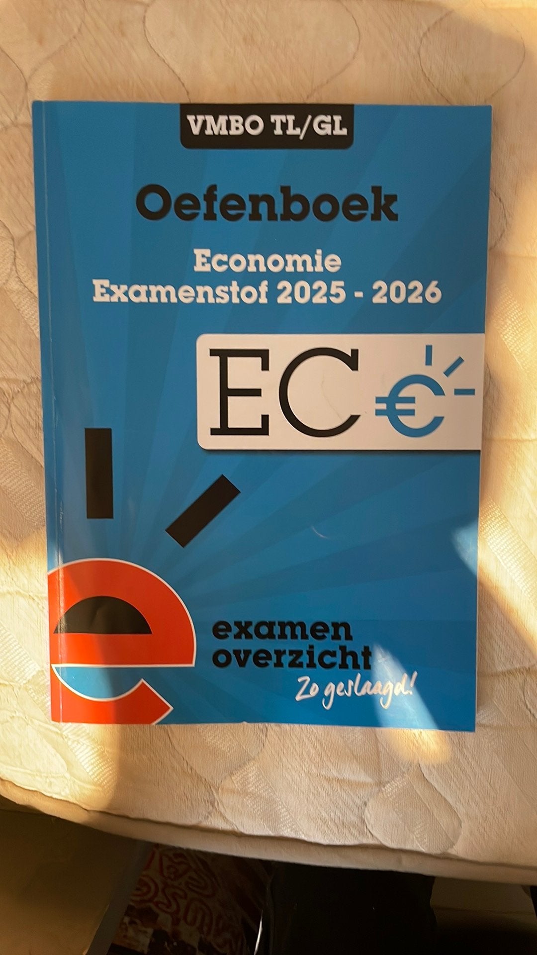 Oefenboek examen vmbo tl/gl onbeschreven economie, Ophalen of Verzenden, Zo goed als nieuw, Overige onderwerpen
