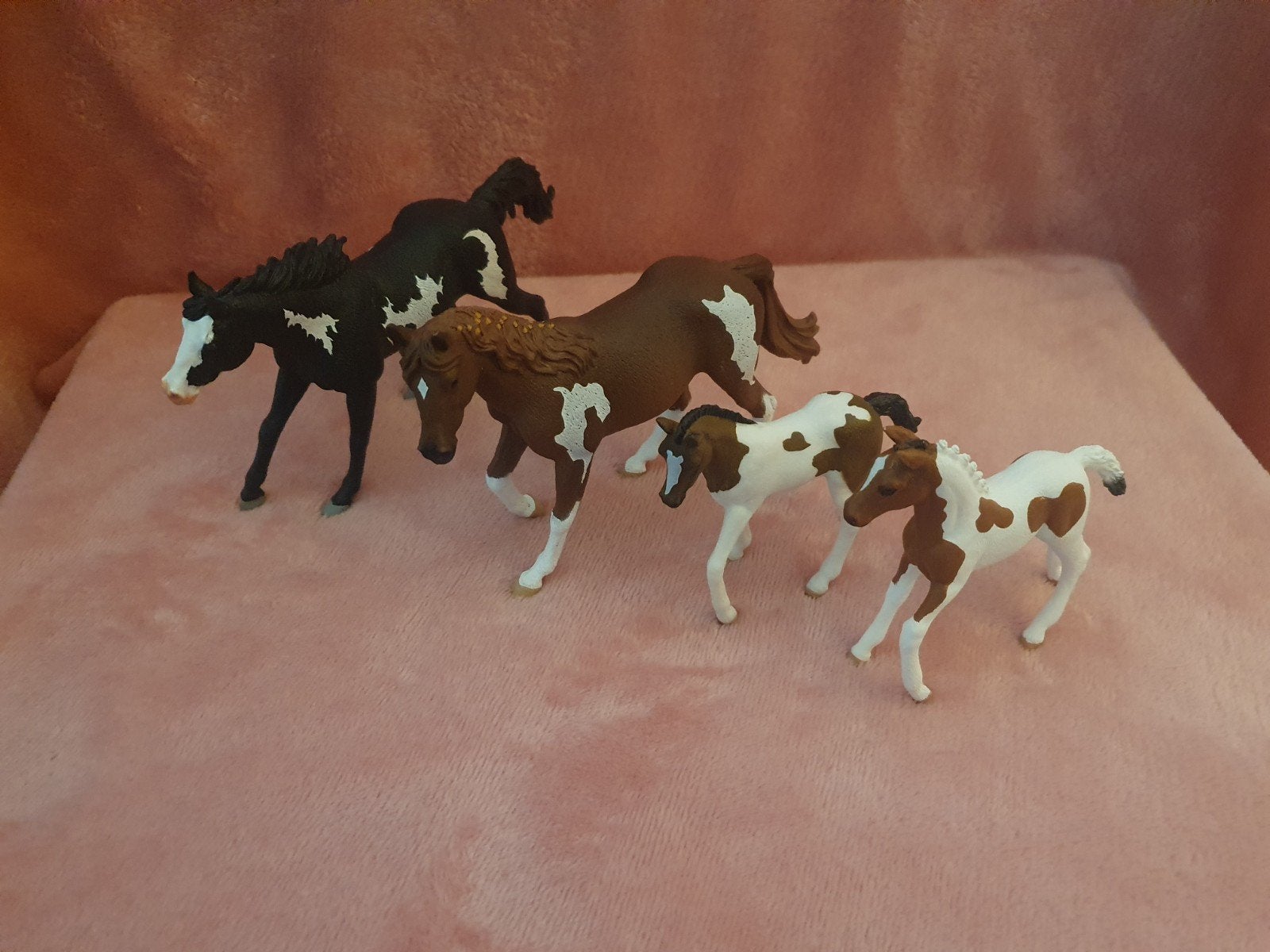schleich paarden paint horses, Ophalen
