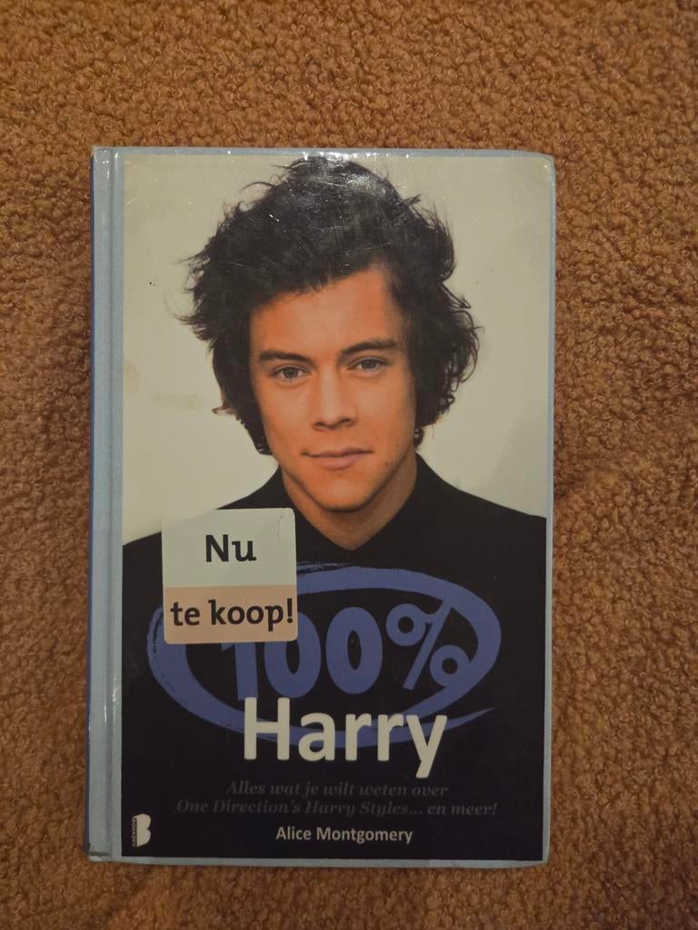 100% Harry - Alles over Harry Styles (One Direction), Ophalen of Verzenden, Zo goed als nieuw, Alice Montgomery, Film, Tv en Media