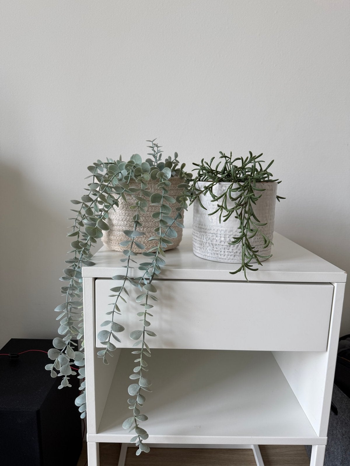 Set van 2 IKEA FEJKA kunsthangplanten met potten, Ophalen, Binnen, Groen, Kunstplant