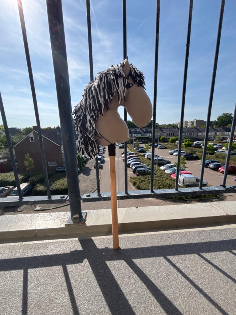Uniek zelfgemaakt Hobby Horse - Handgemaakt stokpaard, Ophalen of Verzenden, Zo goed als nieuw, Jongen of Meisje
