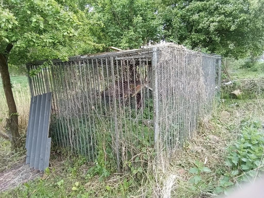 Hondenren, Dieren en Toebehoren, Hondenhokken, Ophalen, Gebruikt, 110 cm of meer, 100 cm of meer